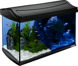 60L Tetra AquaArt LED Explorer set: Line Tetra aquarium
