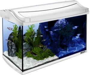 AquaArt LED Line Tetra Explorer 60L aquarium set: Tetra