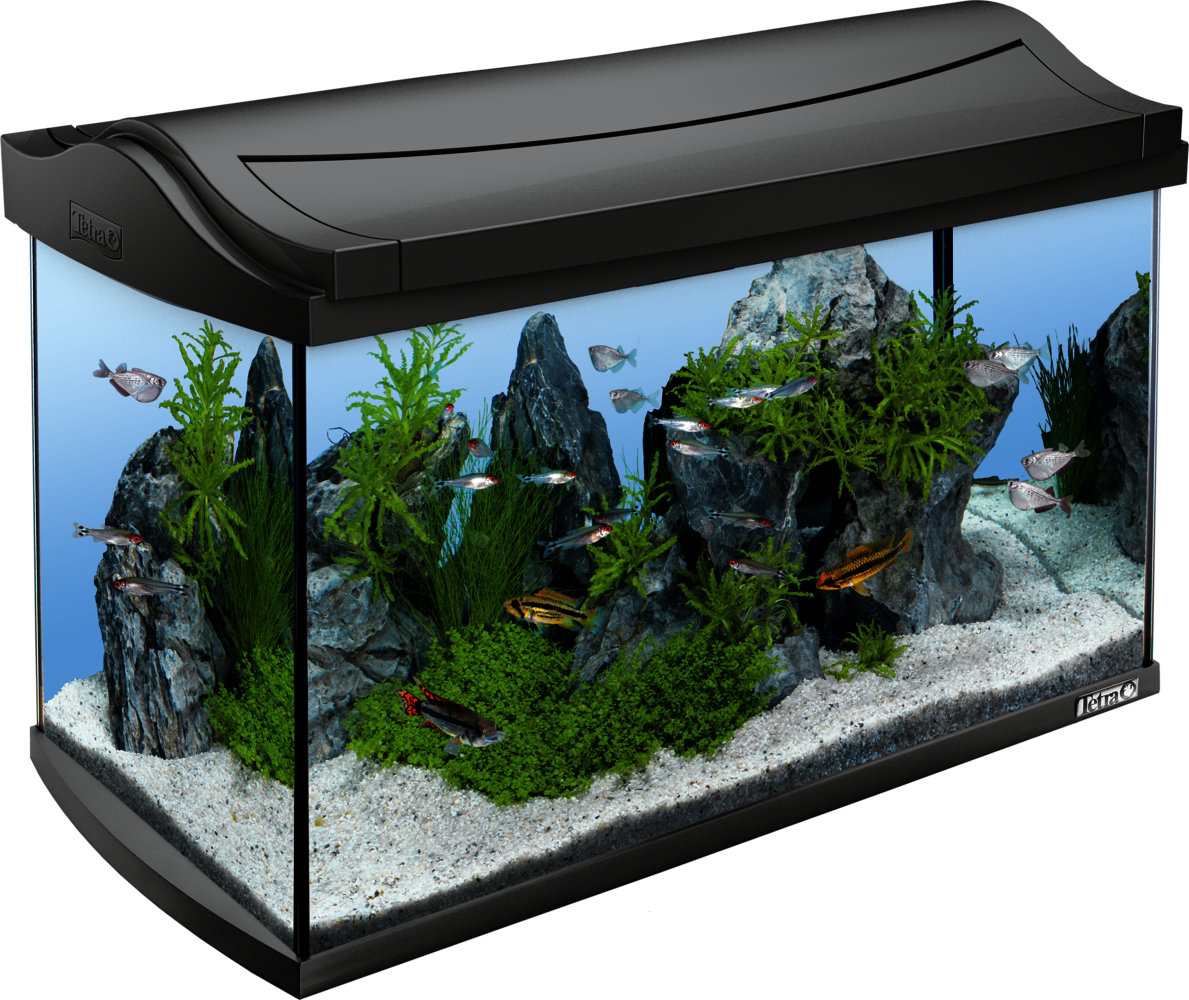 60L Tetra AquaArt Tetra complete aquarium LED set