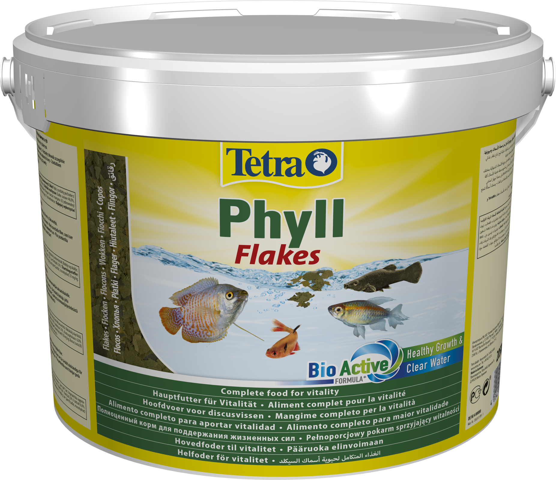 tetra phyll