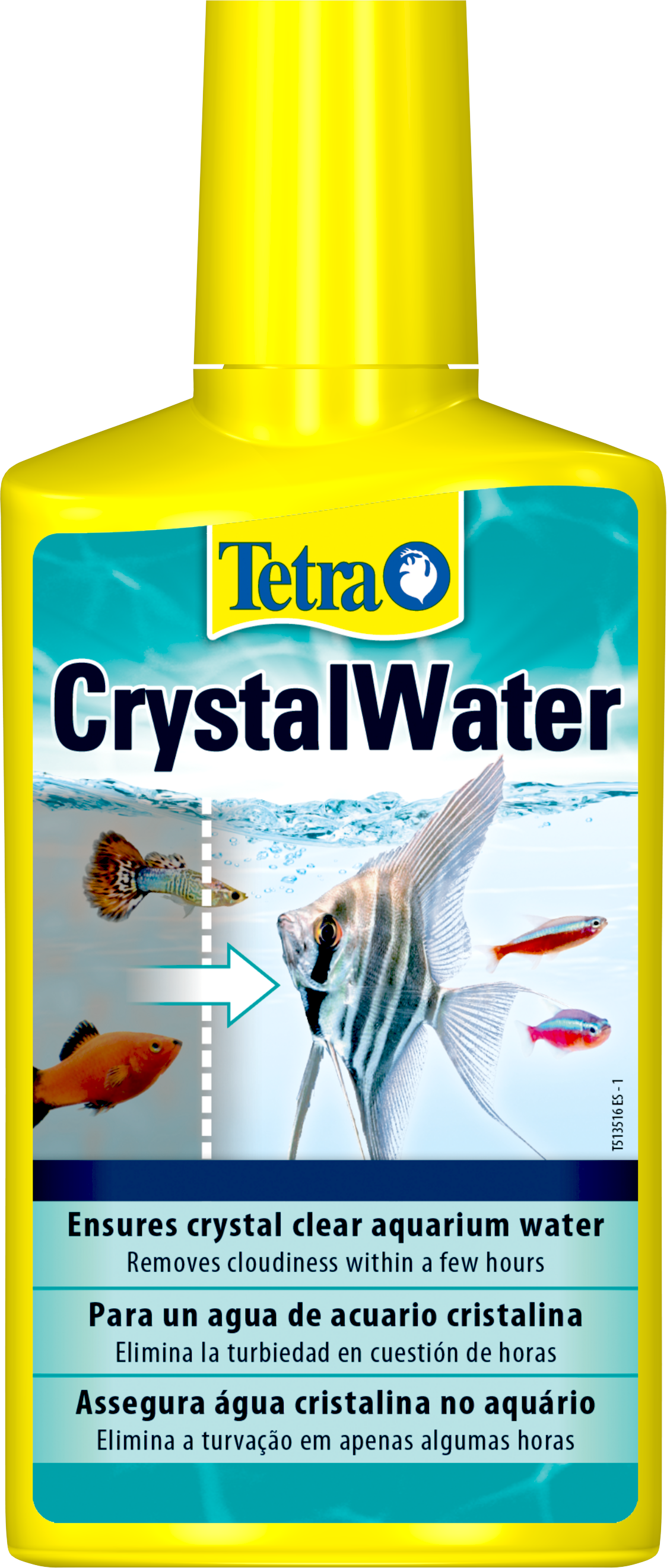 How to Get Crystal Clear Aquarium Water in Your Reef Tank
