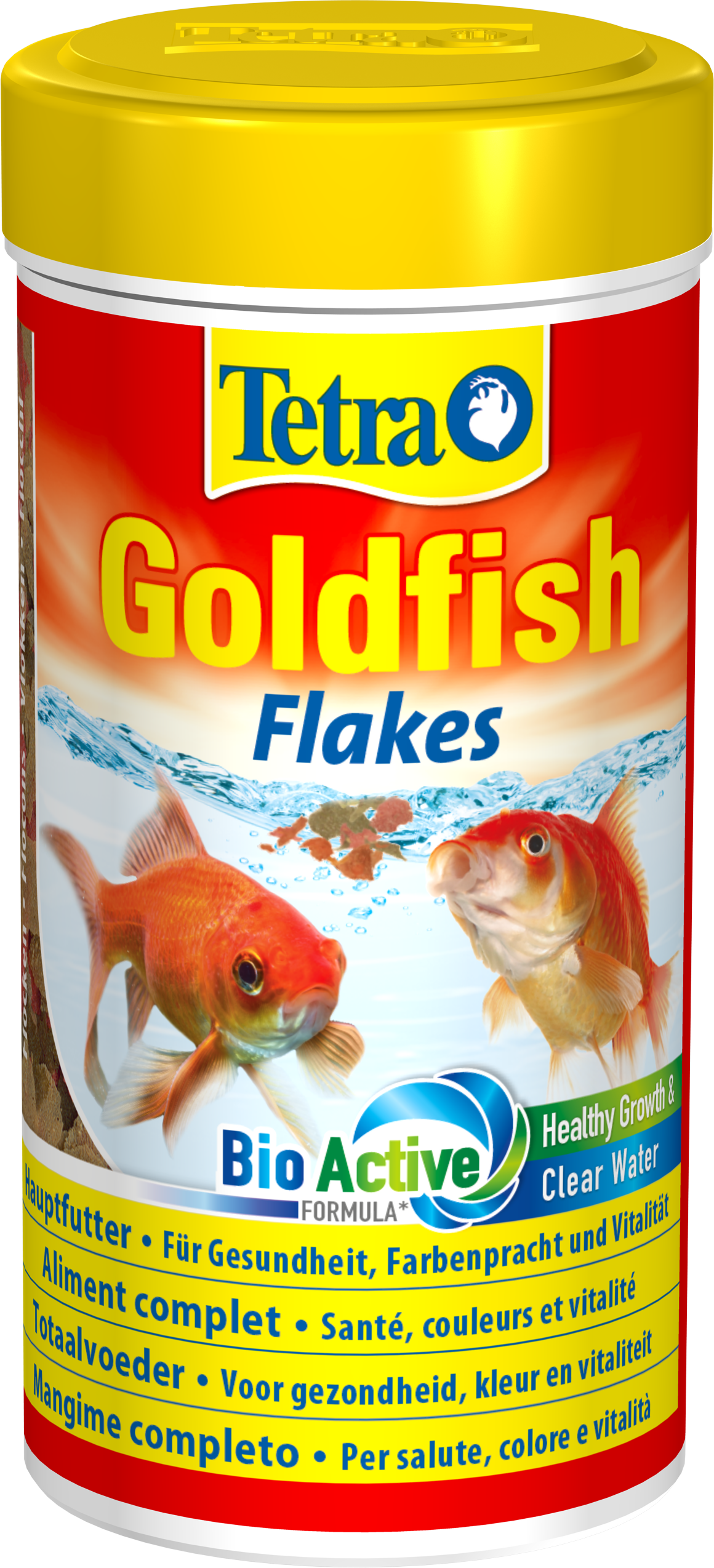 Tetra Goldfish: Tetra