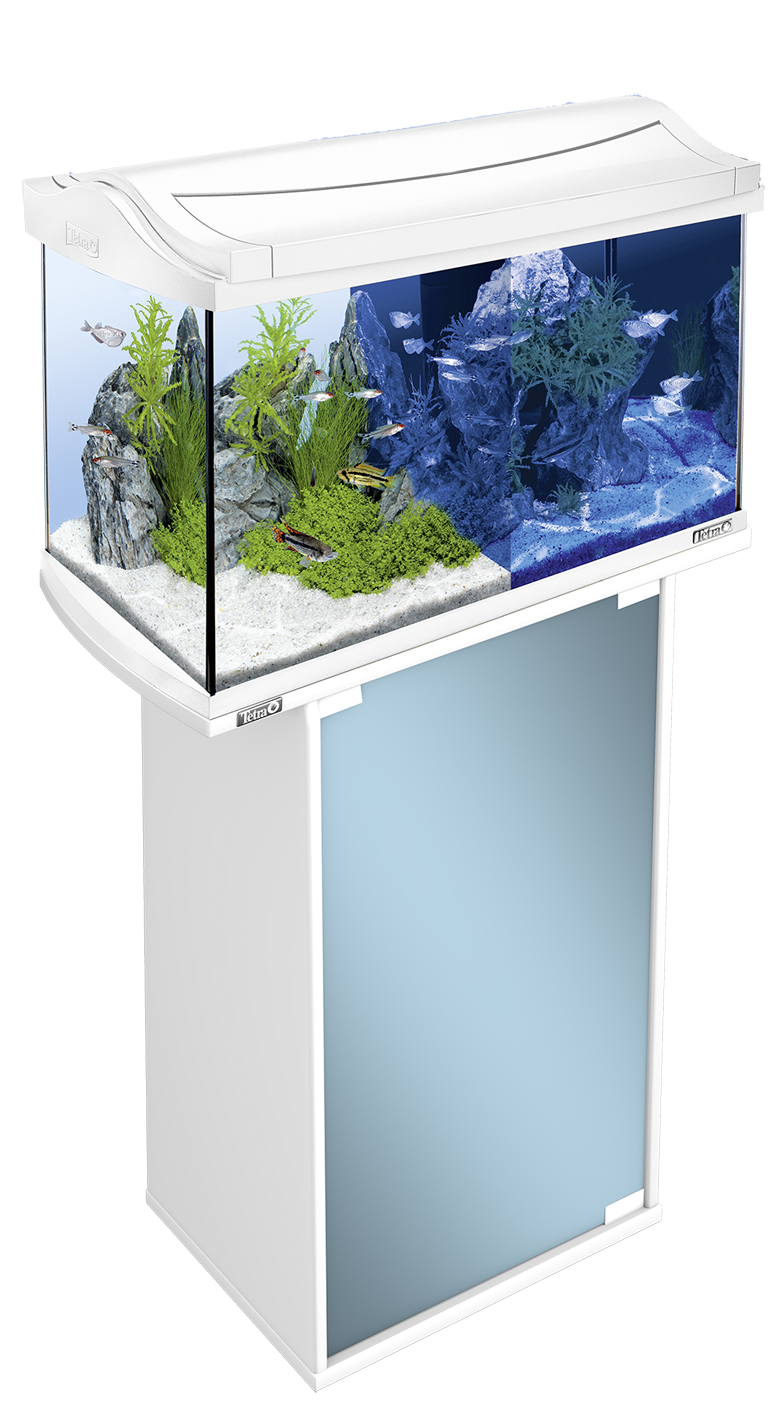Bacteriën stoom Onbekwaamheid 60L Tetra AquaArt LED aquarium - White: Tetra