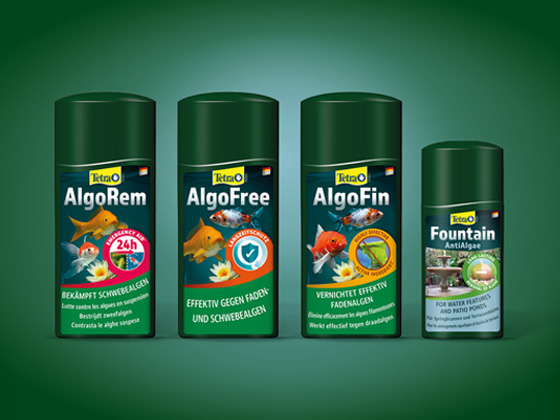 Tetra Anti Algae